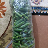 خیارشور خوشمزه با کیفیت|خوردنی و آشامیدنی|فولادشهر, B7|دیوار