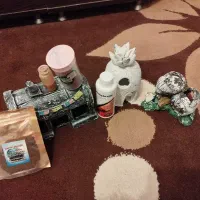 اکواریم