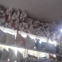 بالش زیرگوشی و لوله ای