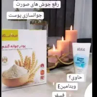 پودر جوانه گندم|آرایشی، بهداشتی، درمانی|تهران, جردن|دیوار