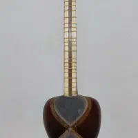 تار سالم و خوش صدای مهر محمدی