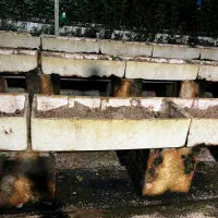 باکس برای کشت گلخانه ای