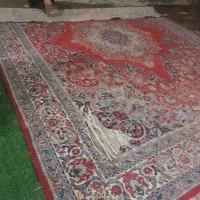 فرش ۱۲متری  ۹ متری ۶ متری|فرش|پاکدشت, پاکدشت (مامازند)|دیوار
