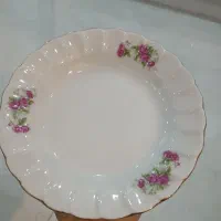 گل سرخی