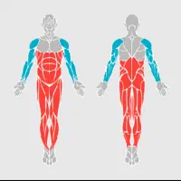 ماساژ در محل|خدمات آرایشگری و زیبایی|چمستان, |دیوار