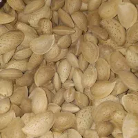 انبار خشکبار گردو بادام انجیر تخمه پسته کشمش و|خوردنی و آشامیدنی|اصفهان, رهنان|دیوار