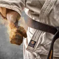 آموزش رزمی کاراته کیوکوشین