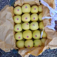 سیب سفید درجه یک