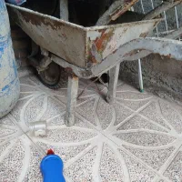 فرغون