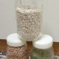 جا حبوباتی ۱۲ عدد