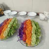 کارگر ساده آقا  رستوران وکترینگ