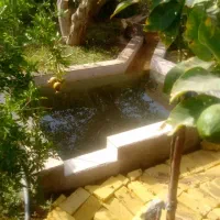 خانه باغ اجاره روزانه|اجارهٔ کوتاهمدت ویلا و باغ|میبد, |دیوار