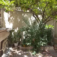 آپارتمان50مترتکخواب-غرق-نور