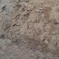 کود گوسفند|لوازم جانبی حیوانات|رفسنجان, |دیوار