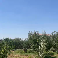 ۱۶۰مترباغچهسندتکبرگاببرقجاباندماونداقساط۴ماه|فروش زمین و ملک کلنگی|سرخه حصار, |دیوار