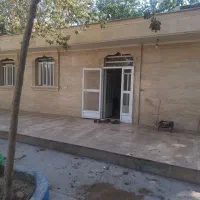 گاوداری-گوشتی-دارای-هفت-تا-بهاربند