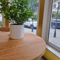 به یک نفر نیروی خدماتی در کارگاه کیک پزی