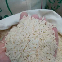 برنج طارم مستقیم از کشاورز|خوردنی و آشامیدنی|قم, زنبیل آباد|دیوار