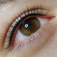 آموزش تاتو چهره صفر تا صدویژه پاییز فقط با ۶میلیون|خدمات آموزشی|شاهین‌شهر, شهرک گلدیس|دیوار