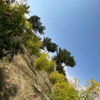 فروش باغ ۱۰۰۰ متری با موقعیت عالی|فروش زمین و ملک کلنگی|خوسف, |دیوار