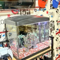 اکواریوم کامل ماهیران