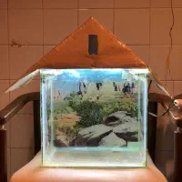 اکواریوم کامل اماده|ماهی|تهران, زعفرانیه|دیوار