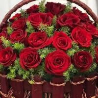 گل ربانی همه مدل