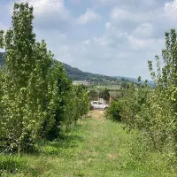 ۱۶۰متر نزدیک جنگل