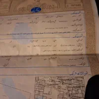 زمین دوطرف کوچه خیابان امیر کبیر