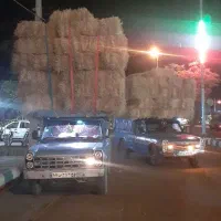 کاه یا سرچینه|لوازم جانبی حیوانات|تالش, تالش|دیوار