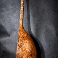 تنبور حرفه ای