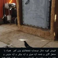 کوره ذغال دوجداره سالم|ابزارآلات|شیراز, ماه فیروزان|دیوار