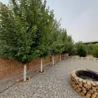 فروش باغ ویلا|فروش خانه و ویلا|بشاریات, |دیوار