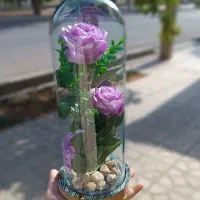 رز روبانی|گل مصنوعی|خرمدره, |دیوار