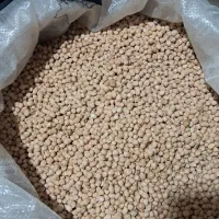 نخود دیم محلی