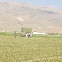 خریدار نقدی یونجه