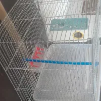 قفس پرنده|لوازم جانبی حیوانات|شاهین‌شهر, مسکن مهر|دیوار