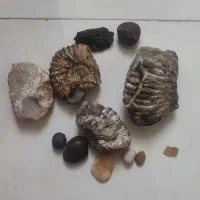 سنگ|کلکسیون اشیاء عتیقه|مشهد, شفا|دیوار