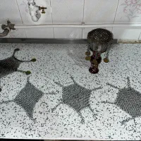 زره پوش قلیان