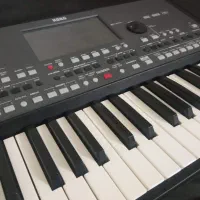 ارگ pa600|پیانو، کیبورد، آکاردئون|تربت جام, شهرک آزادگان|دیوار