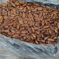 خرمای شاهانی اصل خاوران