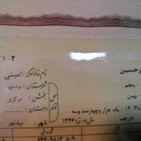 پیدا شده شناسنامه بچه