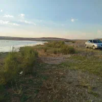 زمین مسکونی سرواباد