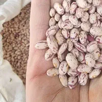 لوبیا|خوردنی و آشامیدنی|مسجد سلیمان, |دیوار