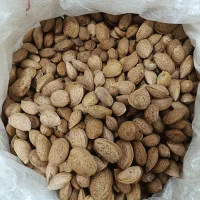 بادام