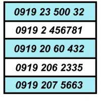 0919.8910079|سیمکارت|تهران, شهرک چیتگر|دیوار