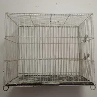 قفس پرنده