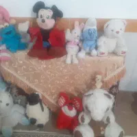 عروسک همه نوع