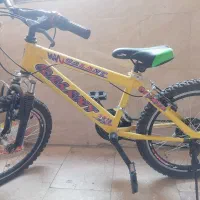 دوچرخه اصل