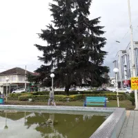 *استخدام*نیروی آقا مجرد در شرکت